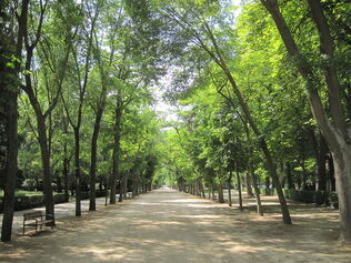 1280px-Paseo_Isla_Lejanía.jpg