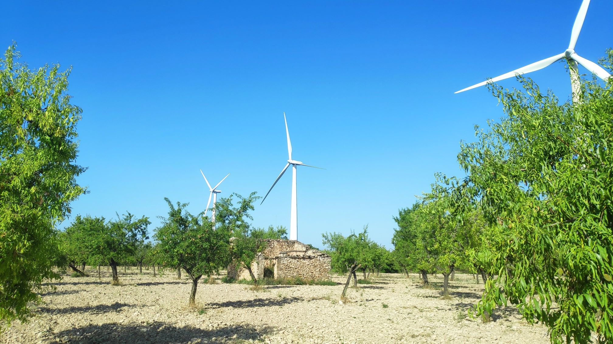 Imagen para los medios: Repte 2: Transició ecològica